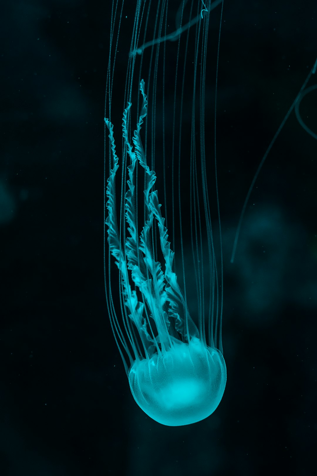 neurociencia 2