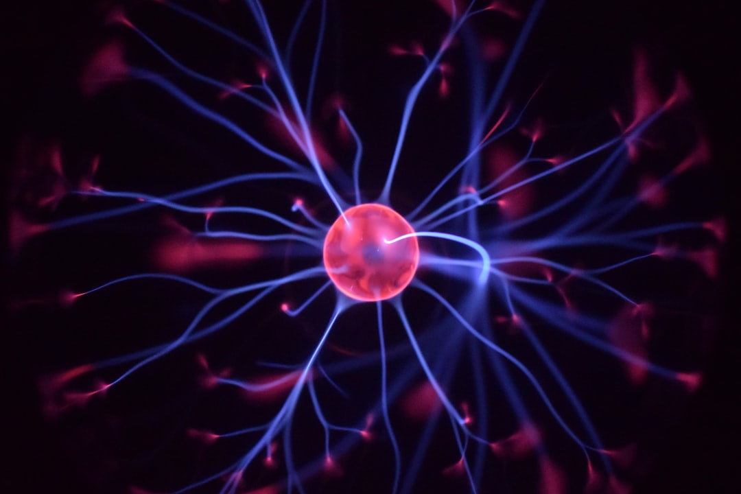 neurociencia 3