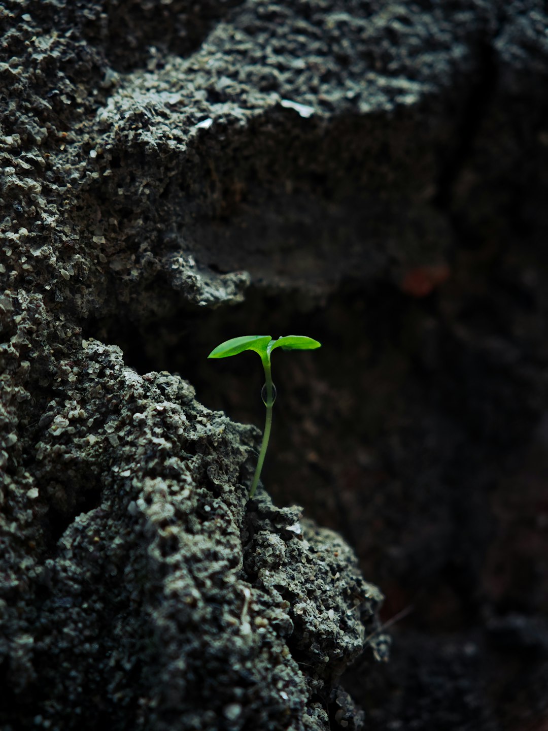 crecimiento personal imagen 3